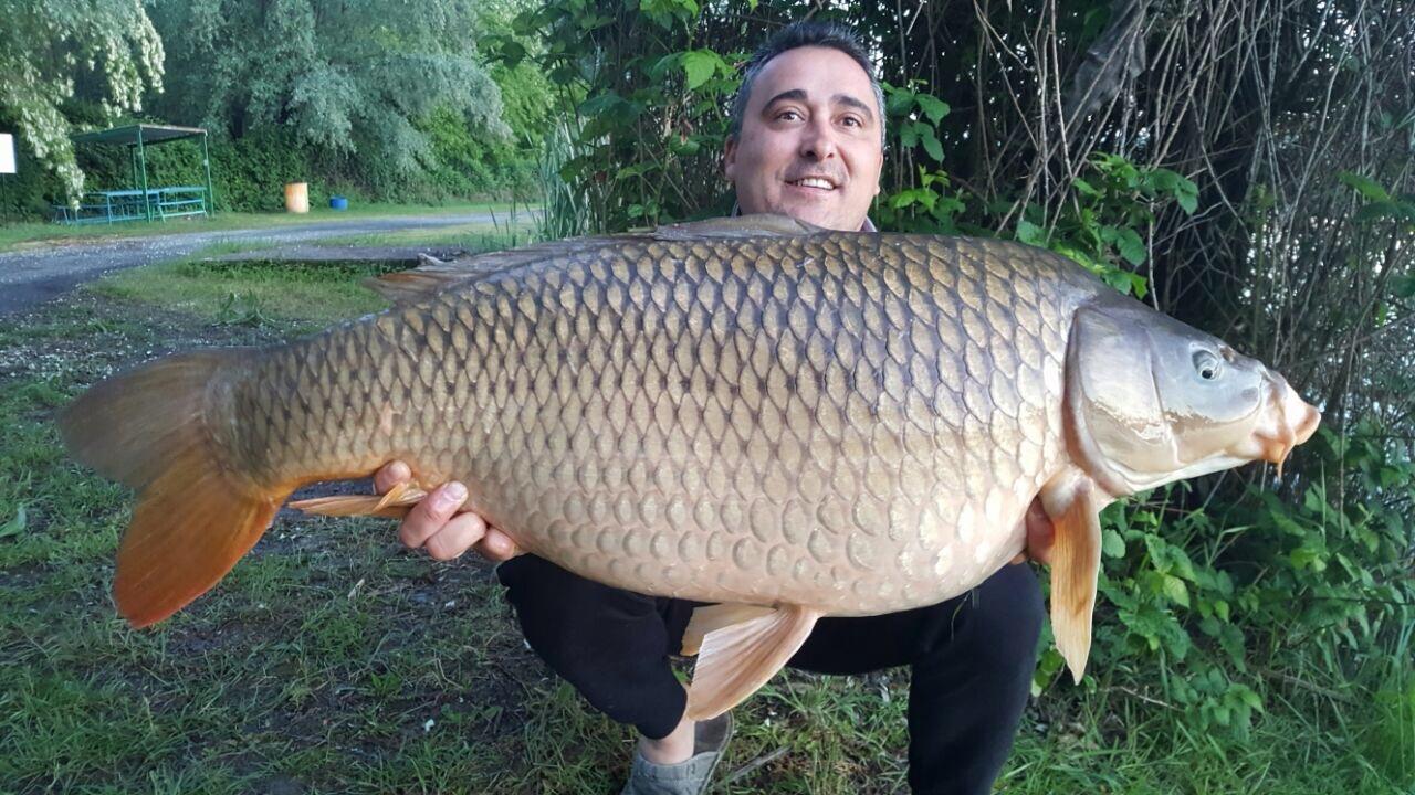 ISOLA DEL PESCATORE 1 - 2 mai 2017 - img9367.JPG